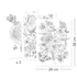 Művészeti műhely - Természetes színezők mappa - Naturalist